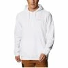 Joggings & Survêtements Columbia CSC Basic Logo II Hoodie Couleur Blanc -Columbia Soldes Boutique 19504059 500 A