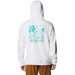 Joggings & Survêtements Columbia CSC Basic Logo II Hoodie Couleur Blanc -Columbia Soldes Boutique 19504059 500 C