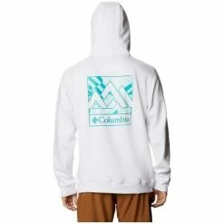 Sweats & Polaires Columbia Csc Basic Logo II Hoodie Couleur Blanc -Columbia Soldes Boutique 20701235 500 C