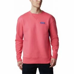 Sweats & Polaires Columbia Sweatshirt Bugasweat Crew pro Couleur rose/bleu