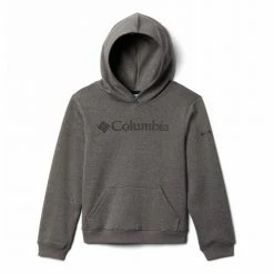Sweats & Polaires Columbia COLUMBIA TREK HOODIE Couleur Gris