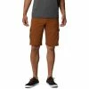 Shorts & Bermudas Columbia Short Couleur Marron -Columbia Soldes Boutique 22272509 500 A