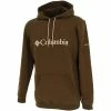 Sweats & Polaires Columbia Csc basic logo vrt cap sw Couleur Vert -Columbia Soldes Boutique 22515244 500 A