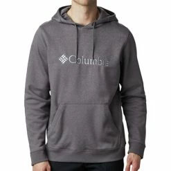 Sweats & Polaires Columbia CSC Basic Logo II Hoodie Couleur Gris