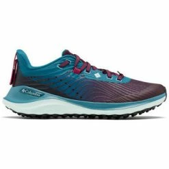 Chaussures de sport Columbia Chaussures de trail femme Ese Ascent™ Couleur bleu